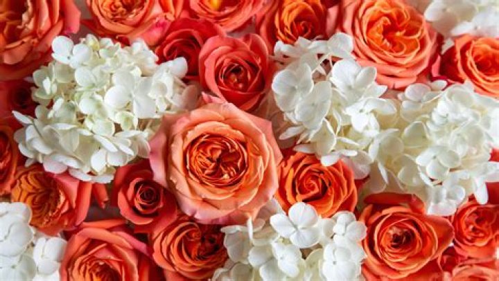 Preparations:&nbsp;Stunning hydrangeas and roses in pretty pastels and greens lined the walls of the venue as raincoat-clad staff made sure everything looked as it should